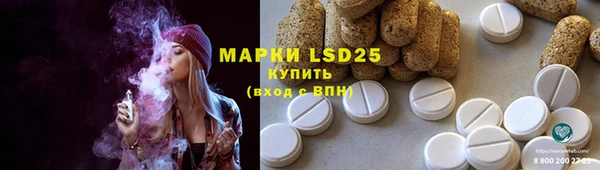 дживик Баксан