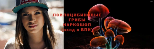 дживик Баксан