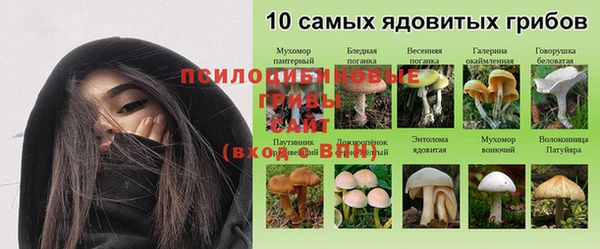 дмт Армянск